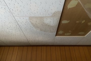 26481847_s